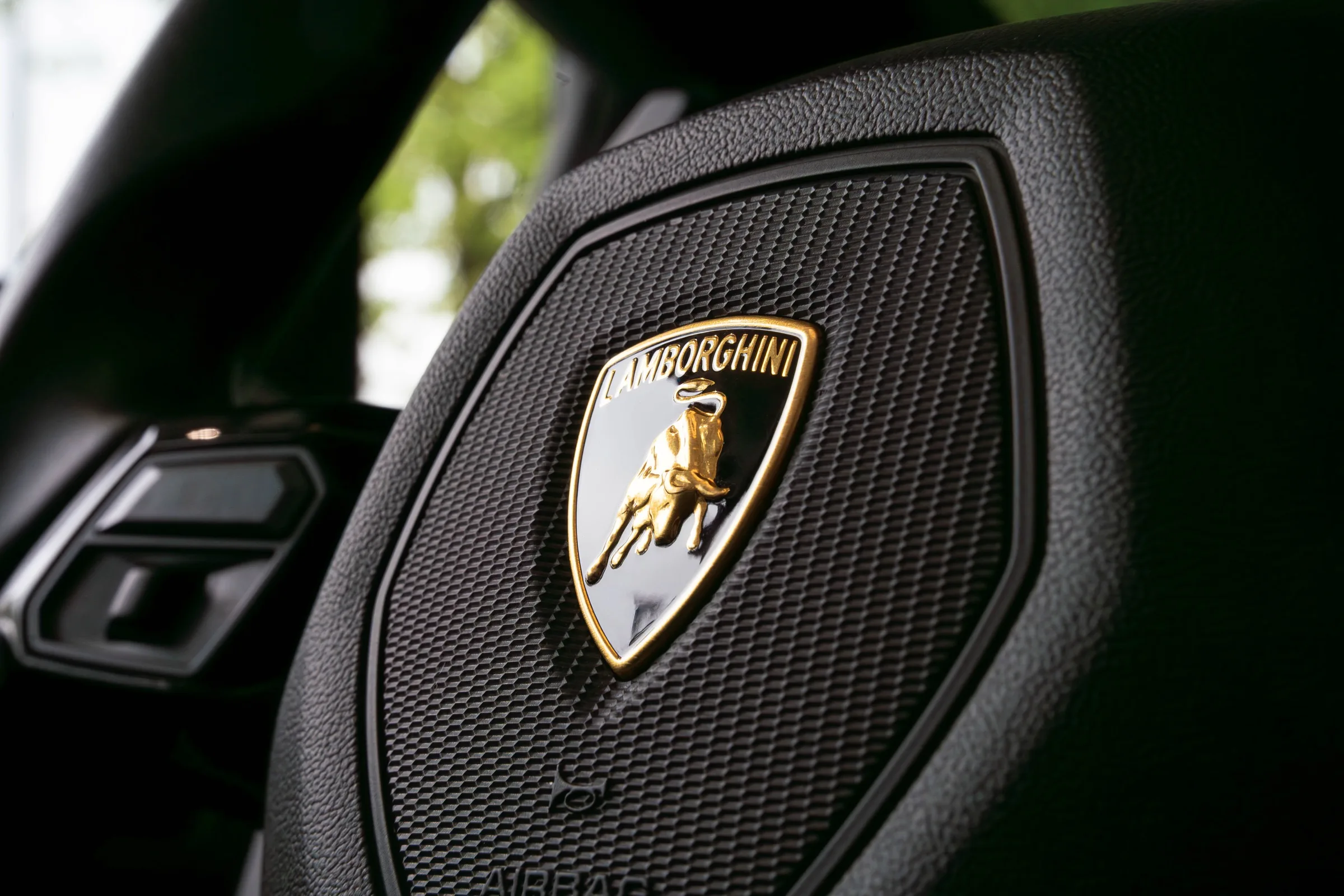 Lamborghini Emblem